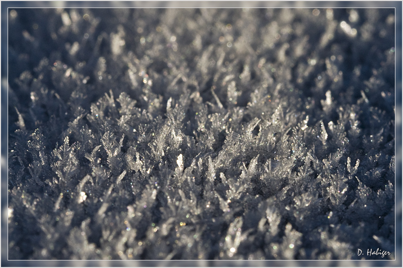 winter_02.jpg - Eiskristalle 01